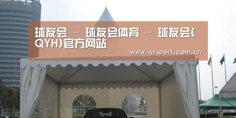 案例标题八